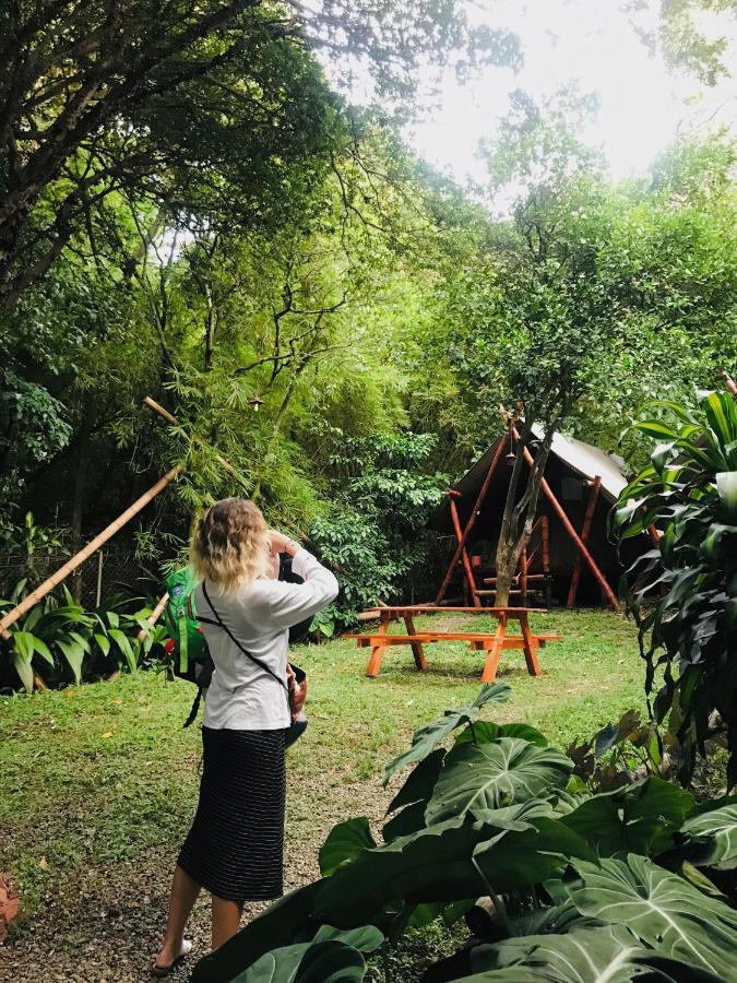 Bambu Glamping Ecolodge Меделин Екстериор снимка