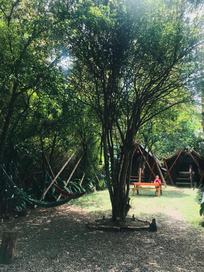 Bambu Glamping Ecolodge Меделин Екстериор снимка