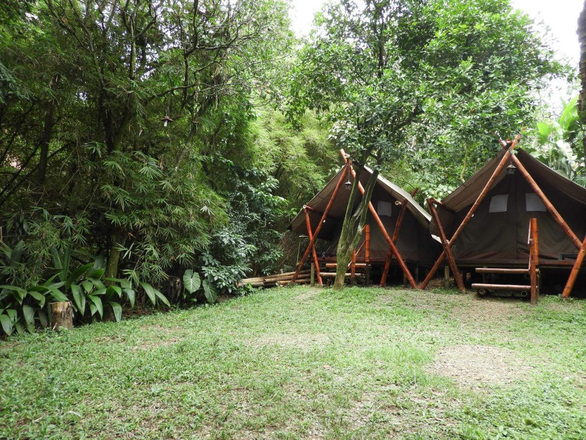 Bambu Glamping Ecolodge Меделин Екстериор снимка